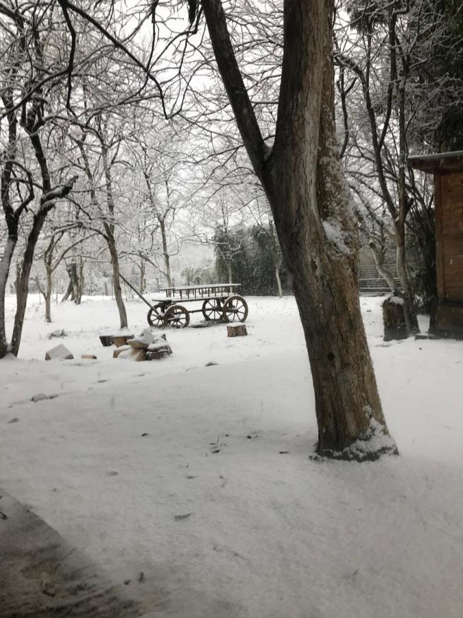 Бунгало Kheivani Luaran gambar
